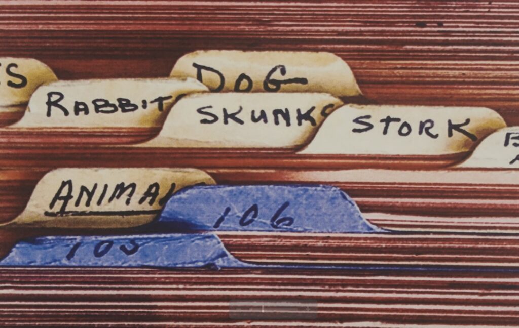 Photograph of paper filing folders labeled "dog," "rabbit," "skunks" and "stork"