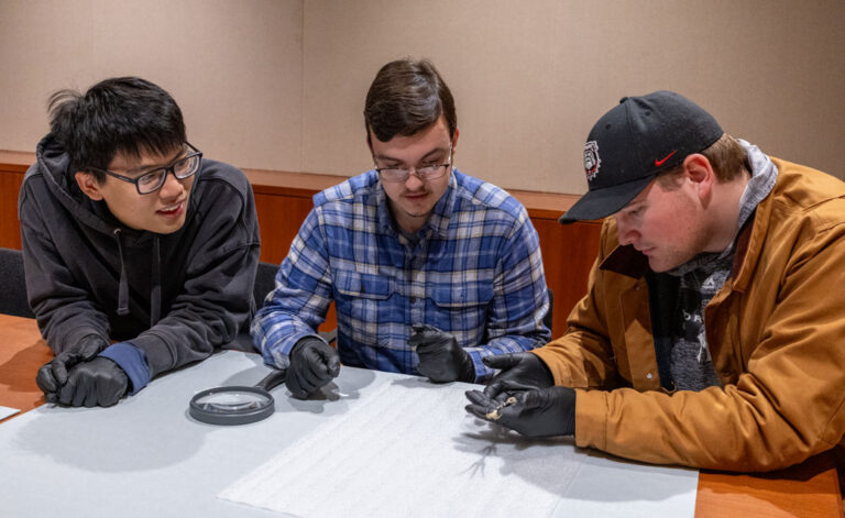 Three University of Georgia students, seated at a table, wear gloves and examine items from the collection