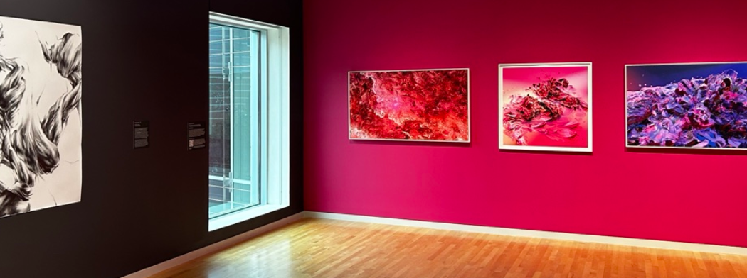 An installation photograph of the Nancy Baker Cahill exhibition at the museum