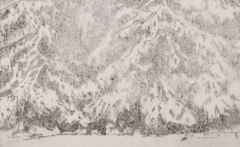 A detail from F. Townsend Morgan's print "Drifting Snow," which shows tall, full evergreens covered with snow in shades of gray. It's realistic, but it almost looks abstract.