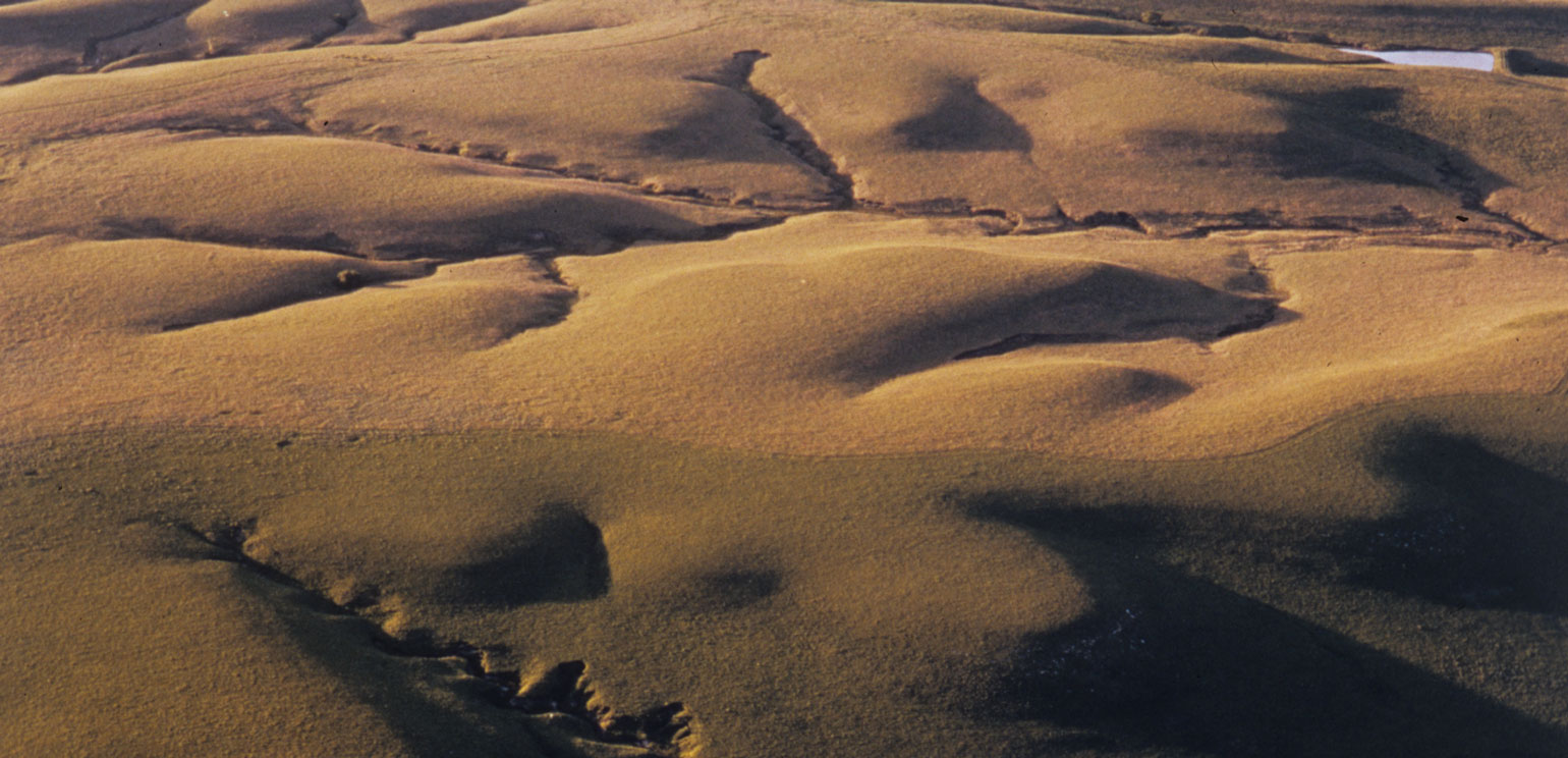 Detail of Terry Evans' color photograph "Konza Prairie after Spring Burning," which shows rolling brown hills
