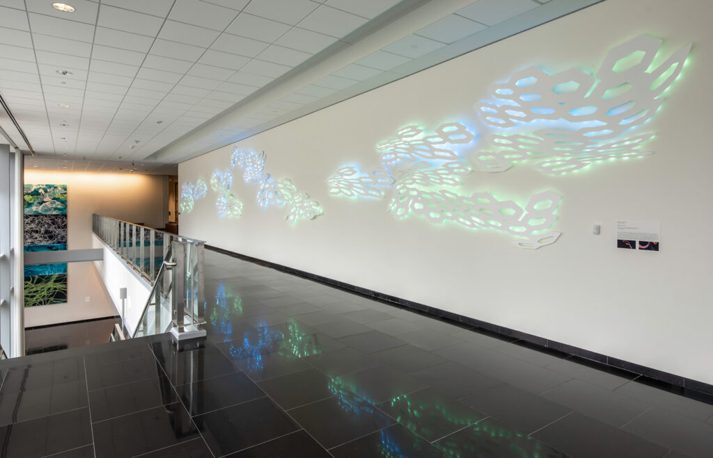 Rebecca Rutstein's sculpture "Shimmer," a wall-mounted piece of laser-cut metal shapes that look like squashed hexagons. A motion detector triggers lights behind the sculpture that change colors.