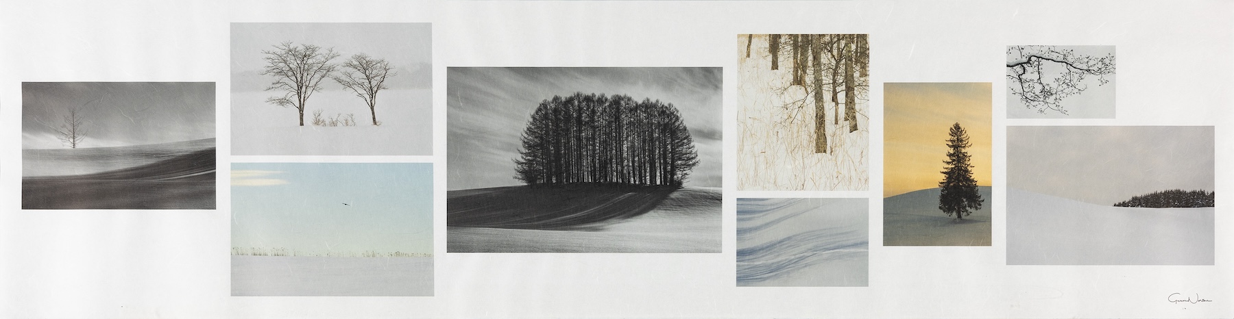 A row of wintery scenes depicting trees and snow