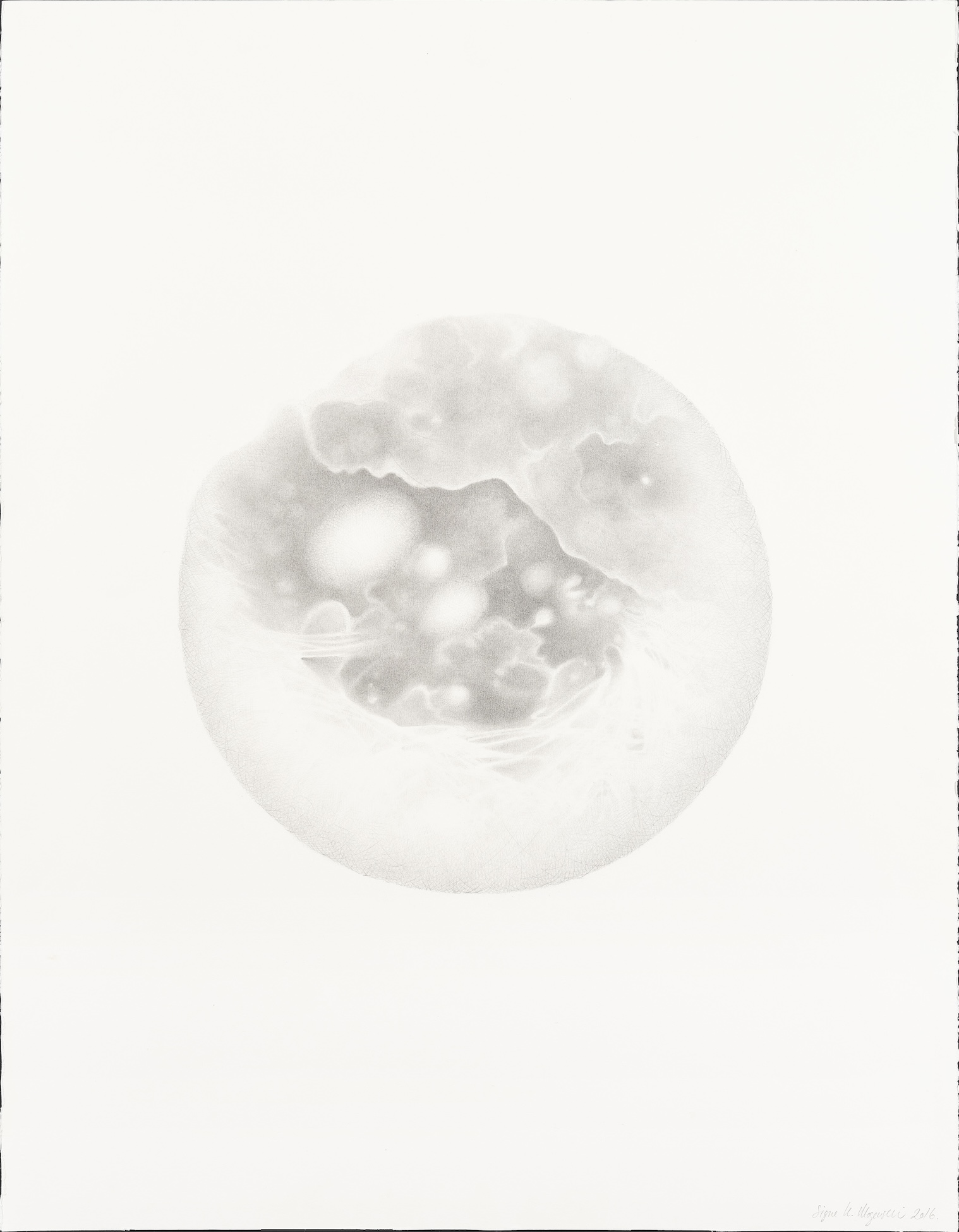 Graphite drawing of a circular form by Signe Kongsgaard Mogensen