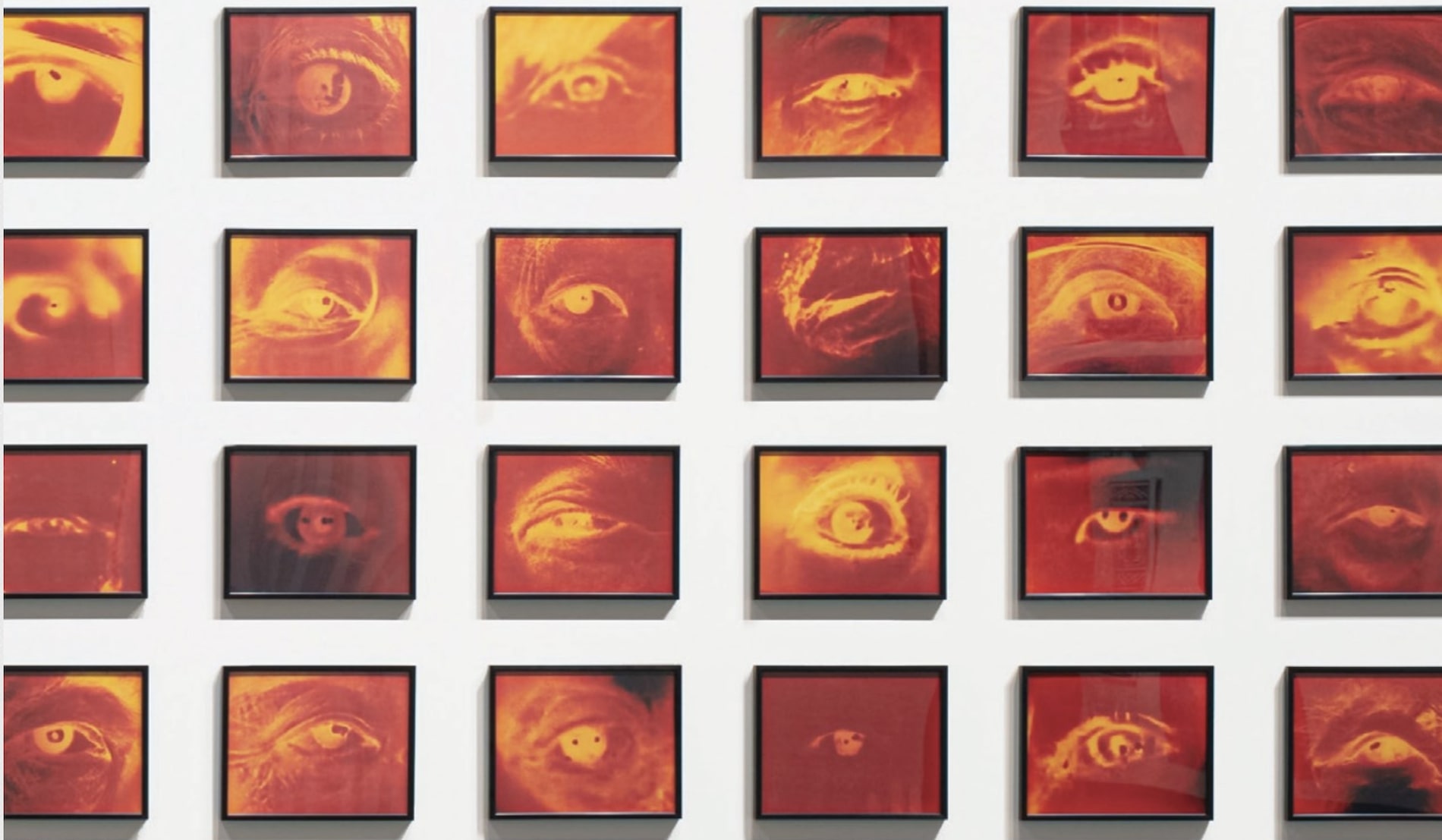 A grid display of red and orange photos of eyes