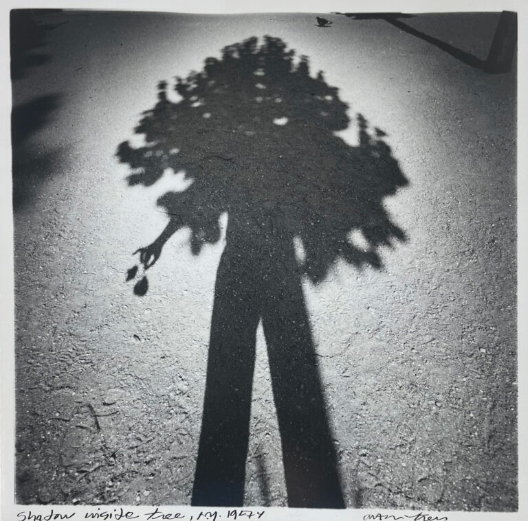 A black-and-white photograph of a man’s shadow on the ground, with the top of his body resembling a leafy tree